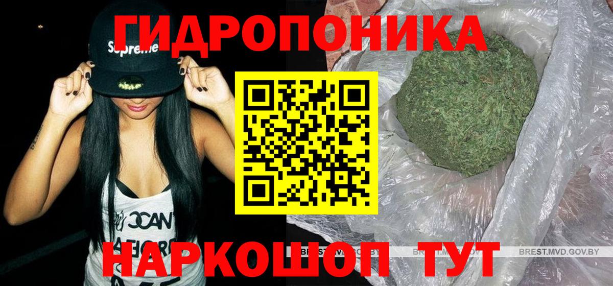 Конопля OG Kush Новотроицк